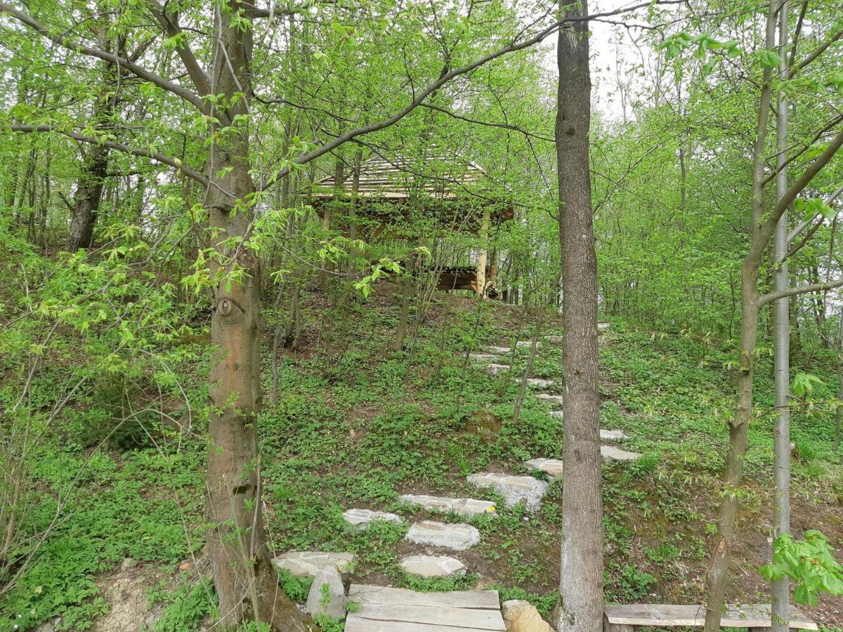 Domek Na Wzgorzu "Wilk" Swiatkowa Mala 외부 사진