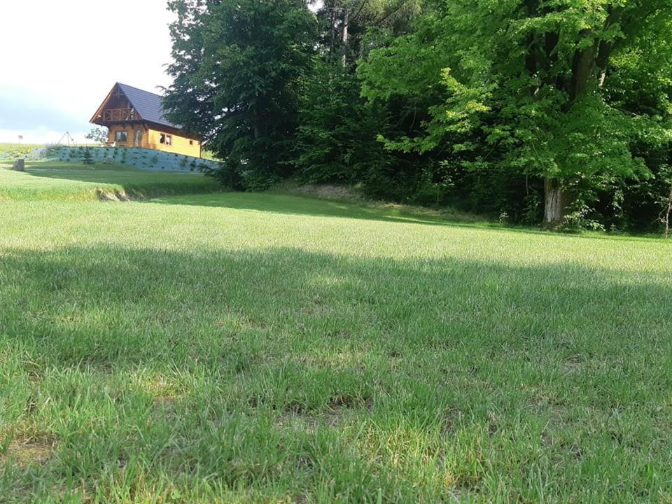 Domek Na Wzgorzu "Wilk" Swiatkowa Mala 외부 사진
